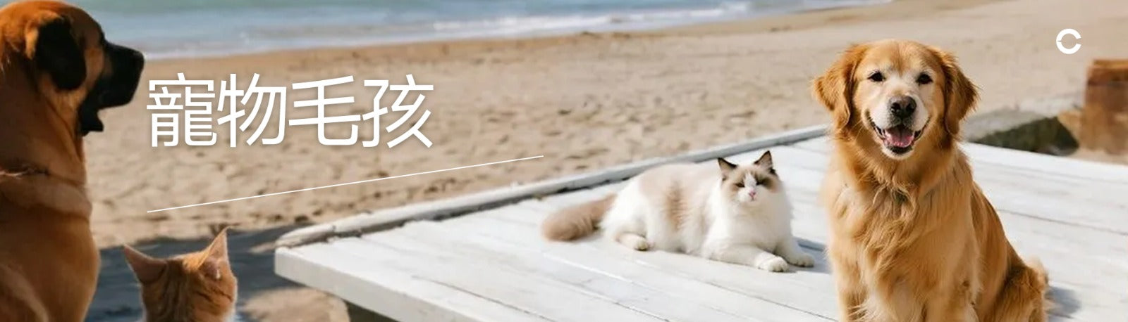 寵物毛孩