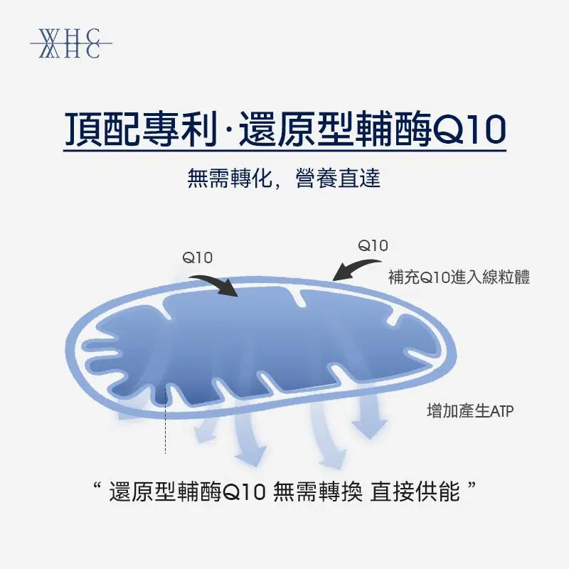 Ubiqor CoQ10 還原型(泛醇) 輔酶Q10 保護心臟健康60粒 - WHC HK